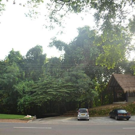 Ella Jungle Inn Kahatamaditta Εξωτερικό φωτογραφία