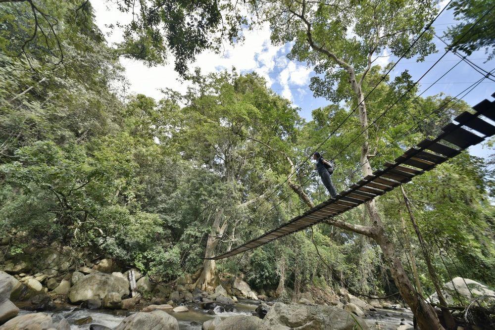 Ella Jungle Inn Kahatamaditta Εξωτερικό φωτογραφία
