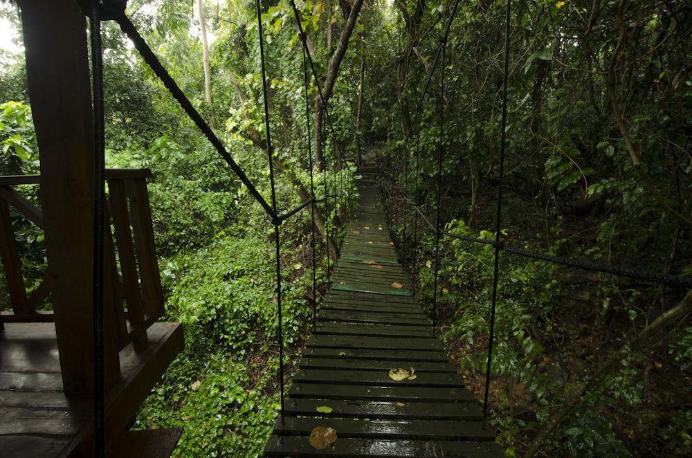 Ella Jungle Inn Kahatamaditta Εξωτερικό φωτογραφία